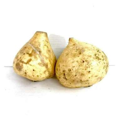 Sayur Bengkoang Segar Besar Fresh 500gr