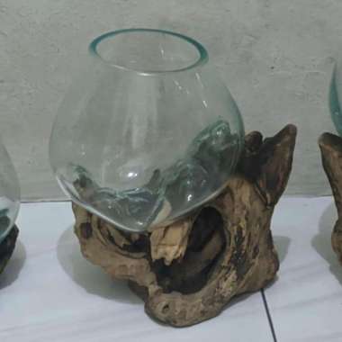 Ikan Cupang Harga Terbaru September 2020 Blibli Com