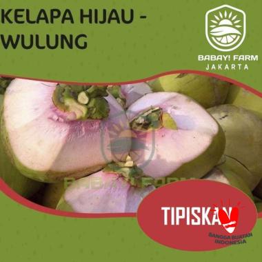 Buah Kelapa Muda Hijau Wulung / Degan Ijo Herbal Utuh Ditipiskan