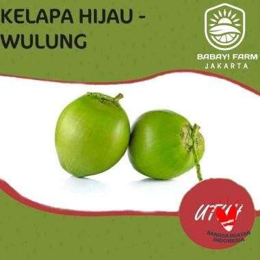 Buah Kelapa Muda Hijau Wulung / Degan Ijo Herbal Utuh Utuh