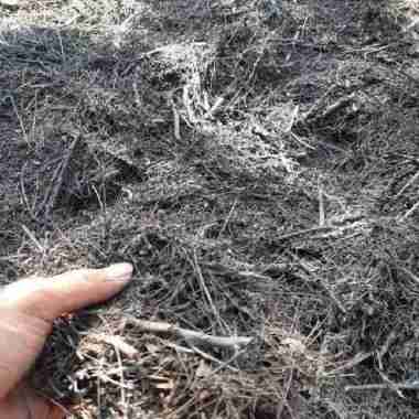 media tanam anggrek kaliandra 1kg
