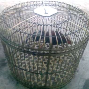 Ancak Bambu 70 cm, Alas kaki pada kurungan kandang Ayam Jago ter murah a