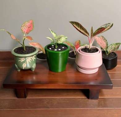 tempat pot bunga kayu solid 60 x 25 cm COKELAT Jawa