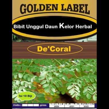 Bibit Unggul Daun Kelor Herbal | Benih Daun Kelor