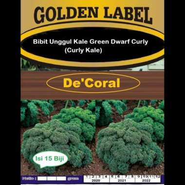 Bibit Unggul Kale Green Dwarf Curly | Benih Curly Kale