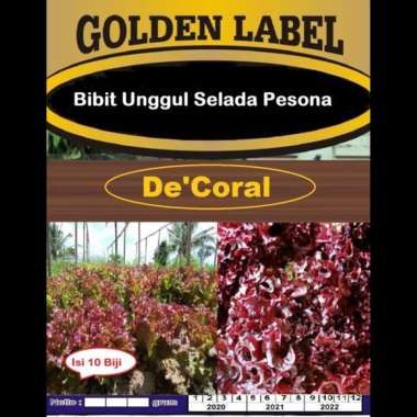 Bibit Unggul Selada Pesona | Benih Selada Pesona