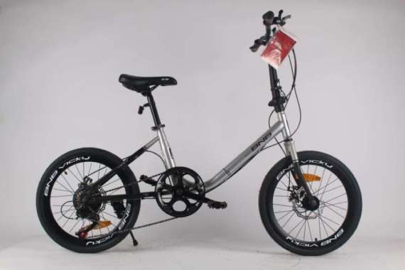 Sepeda BNB Minion Vicky 20 inch TERBARU!! silver