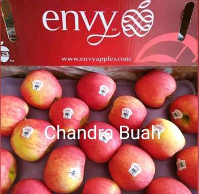 Buah Apel Envy new fresh import 1kg