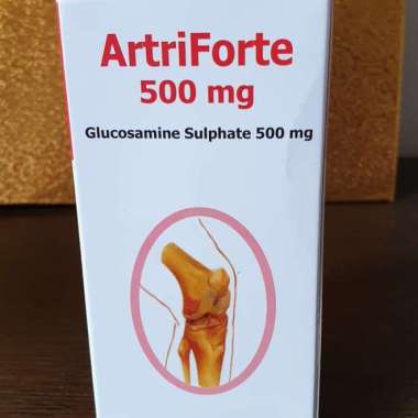 arti forte 500mg