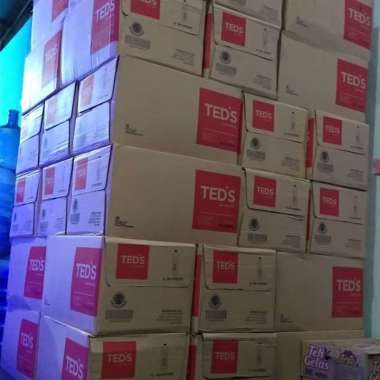 TEDS Air Mineral Botol 600ml - 1 karton isi 24 botol | Teds Air 600 ml