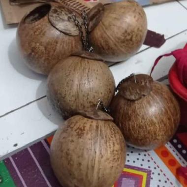 Glodok Batok burung lovebird