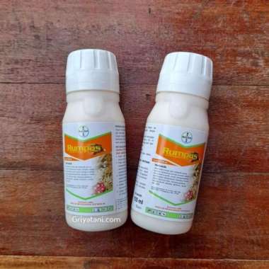 Herbisida Rumpas 120EW 100 ml