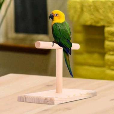 Standing Perch Tangkringan Kayu Burung Parrot Untuk Latih Skill Ftm