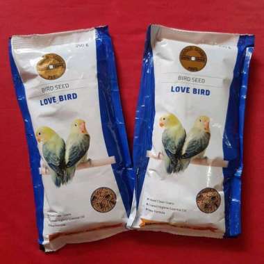 gold coin lovebird