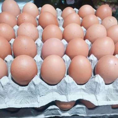Telur Ayam Negeri 1Kg Fresh