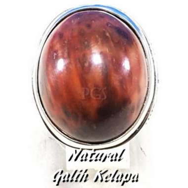 CINCIN BATU AKIK NATURAL ASLI GALIH KELAPA LANGKA TERMURAH RING 8