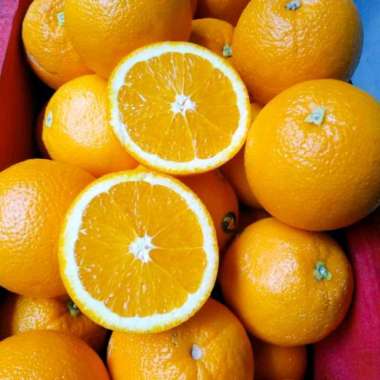 jeruk sunkist nevel fresh import 1kg