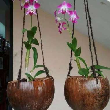 pot bunga untuk tanaman gantung dan panjang