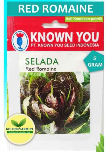 Benih bibit selada red romaine harga murah original packing
