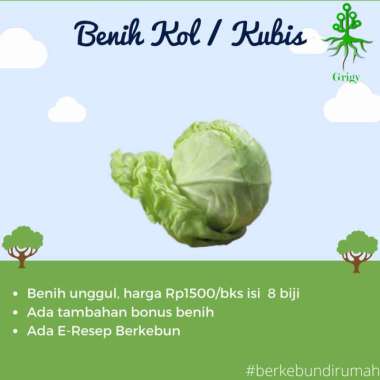 BIBIT, BENIH, BIJI KOL/KUBIS