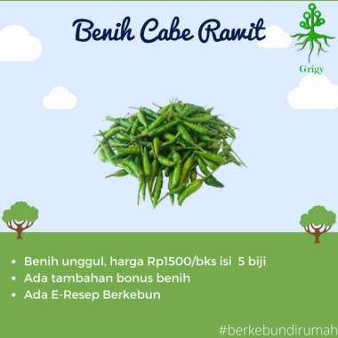 BIBIT, BENIH, BIJI CABE RAWIT