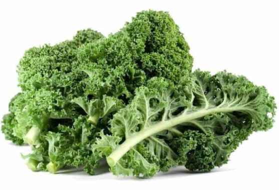 Sayur Kale Segar / Sayur Borecole Segar 1 KG