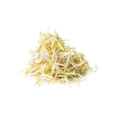 Sayur Tauge/ Toge Segar 1/4 Kg - 250 Gram