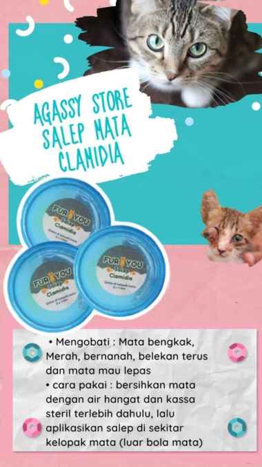 [NO BRAND] FurYou Salep mata clamidia salep mata clamydia kucing salep mata paten