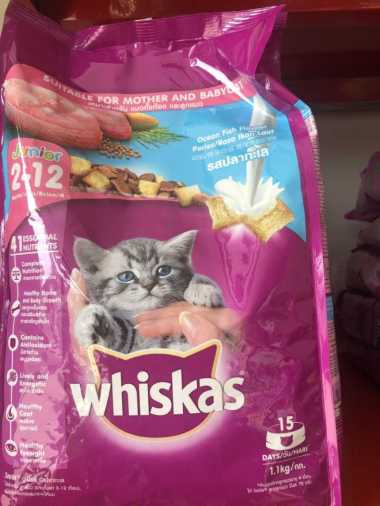 [NO BRAND] WHISKAS JUNIOR OCEAN FISH 1.1 KG WHISKAS JUNIOR OCEANFISH 1.1 KG