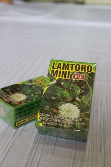 Lamtoro