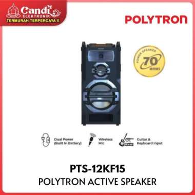 POLYTRON ACTIVE SPEAKER PTS-12KF15