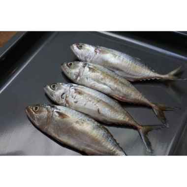 Ikan Kembung Banjar 1 kg