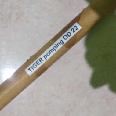 Pipa Tiger od 22 Pomping