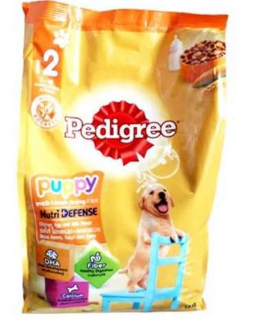 buy pedigree puppy