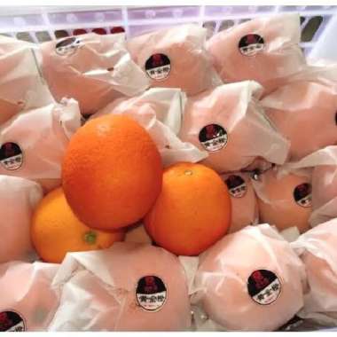 JERUK SUNKIST NAVEL IMPORT CHINA 1 KG