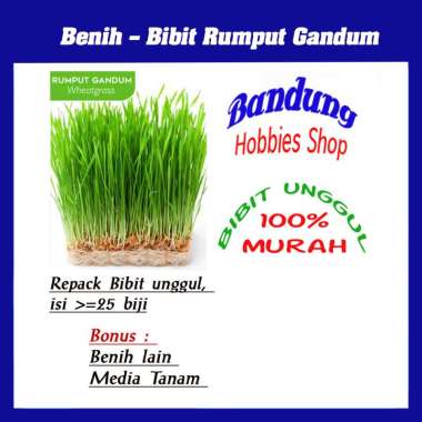 Sayur Hidroponik Harga Terbaru September 2020 Blibli Com