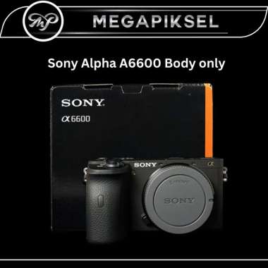 Sony Alpha A6600 Body only