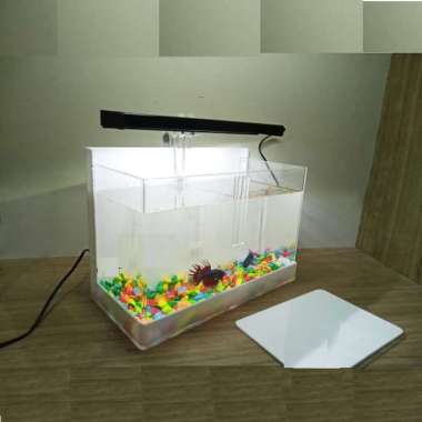Jual Aquarium Ikan Cupang Terbaru Harga Murah Blibli Com