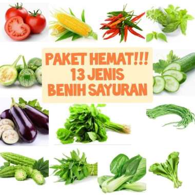 Paket hemat!!! Benih sayuran 13 jenis bibit sayur dan buah