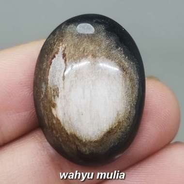 Fosil Batu Akik Galih Kelor Unik Asli (Kode 1960) hitam coklat