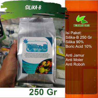 Silika B 250 Gram Pupuk Silika Boron Anti Moler Anti Rebah