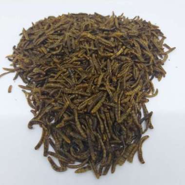 ULAT HONGKONG KERING 1kg makanan reptil landak burung ikan hamster unggas gecko