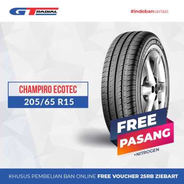 GT RADIAL CHAMPIRO ECOTEC 205/65 R15