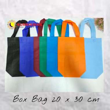 Tas Kain / Goodie Bag BOX BAG SPUNBOND Uk 20 x 30 Per kodi Putih