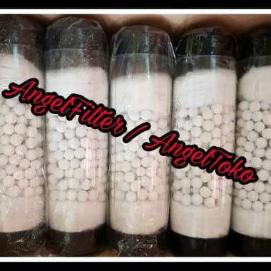 Bio Keramik Catridge 10inc