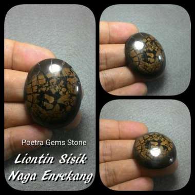 LIONTIN SISIK NAGA ENREKANG