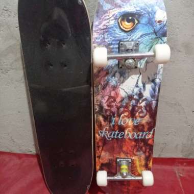 Skateboard size 8 XL Maple Dewasa - ILS 100 % ORIGINAL Multicolor