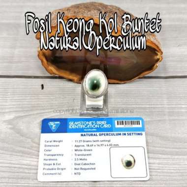 Cincin Natural Fosil Keong Kol-Buntet Shell Operculum RING 9