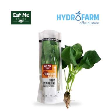 Sayur Kailan Hidroponik - Eat Me