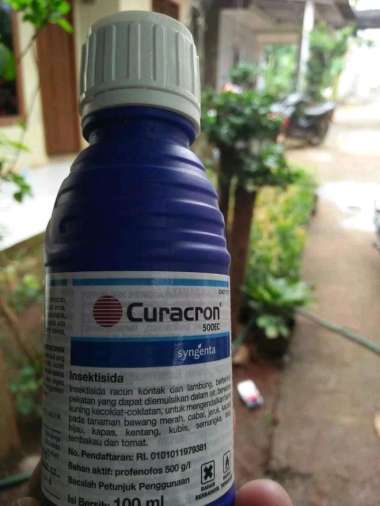 Curacron Pestisida 100ml untuk pembasmi hama tanaman